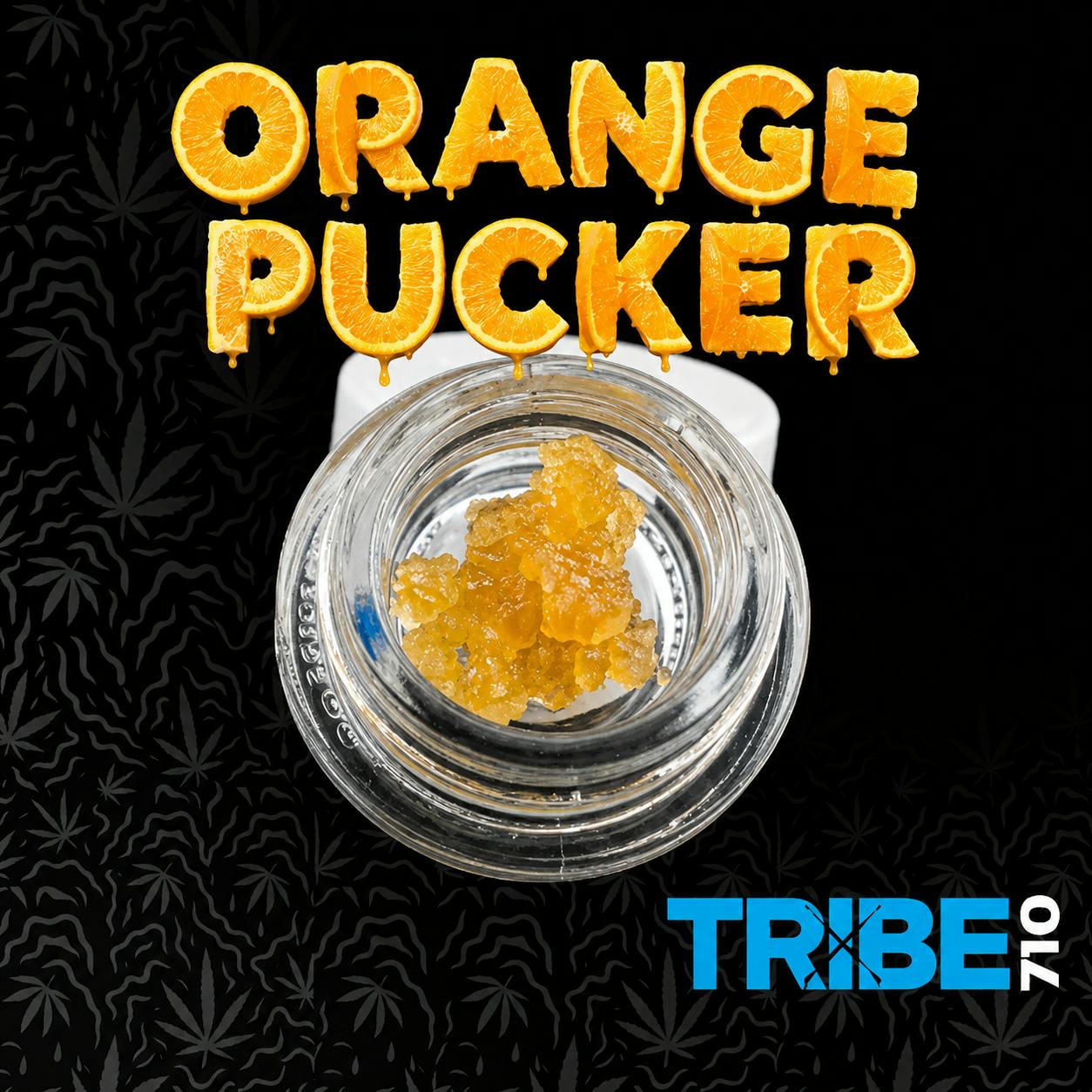 Tribe 710: Orange Pucker