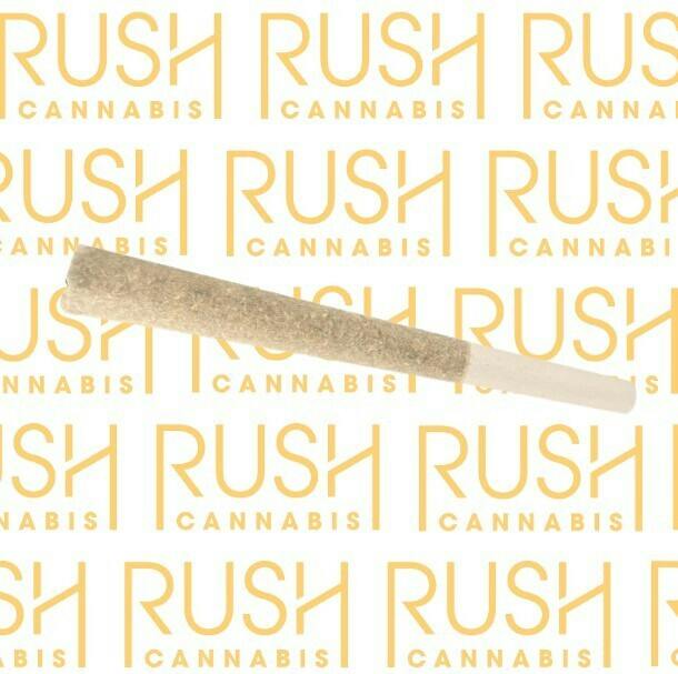 SMOKE - Jack Herer 1g Pre-Roll