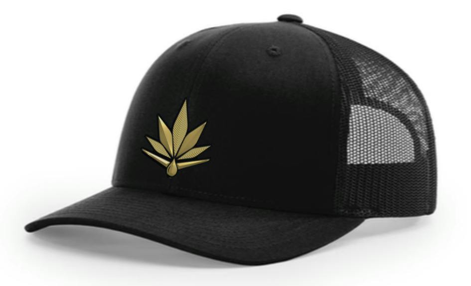 Blaze'n Trucker