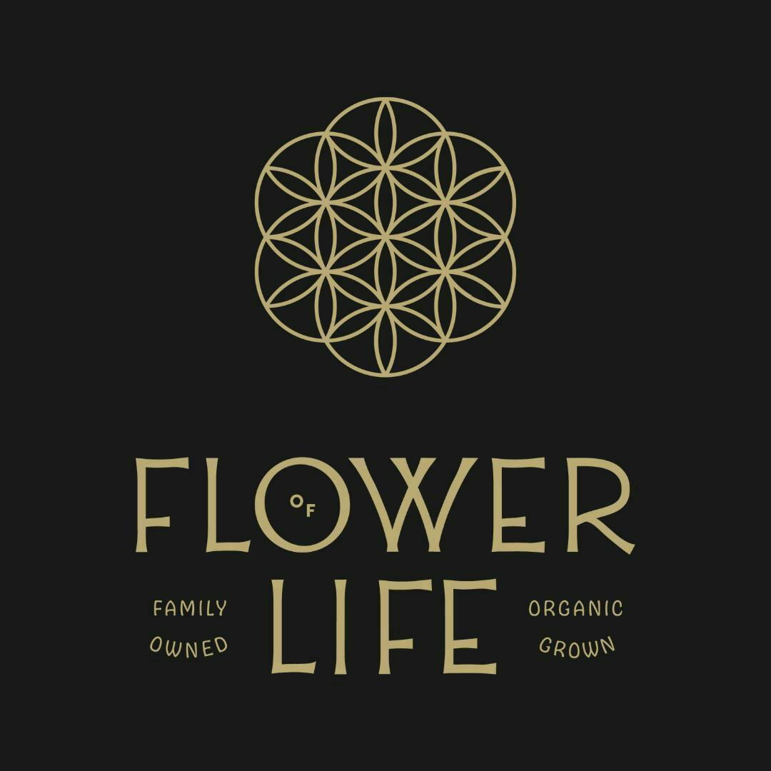 PP - Flower of Life - Millennium Falcon