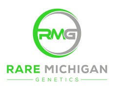 Rare MI Genetics - Cloud Cake - Kief Infused Pre Roll - 1G