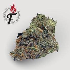 Concord Cream - Hybrid - Fuego