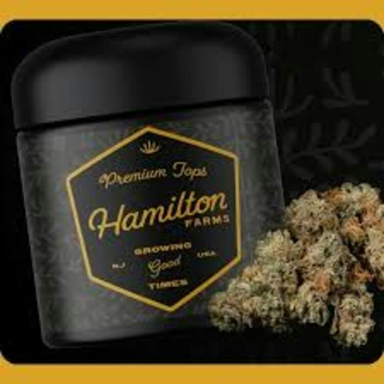 Hamilton Farms | Prermium Tops | Garlic Knots | 3.5g