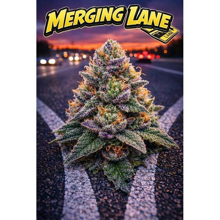 Exit 14G | Wholes | Merging Lane | 3.5g