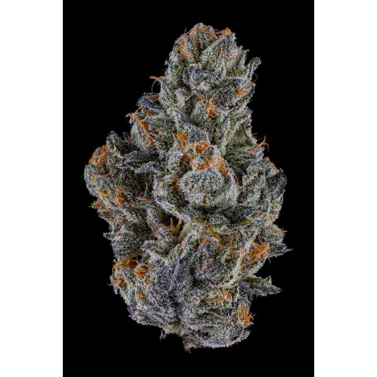 Noble Valley | Wholes | Oh-asis | 7g