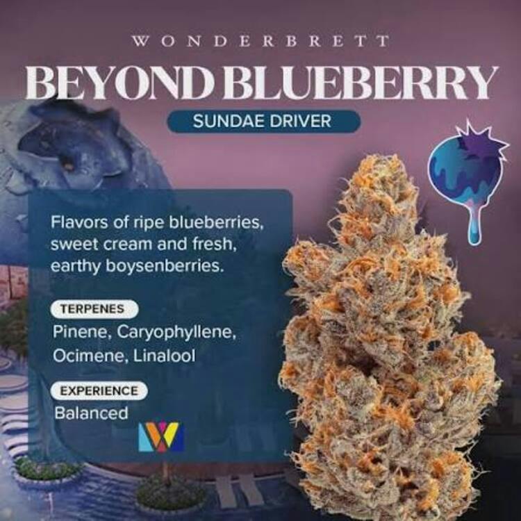 Bliss Co / Wonderbrett | Wholes | Beyond Blueberry | 3.5g
