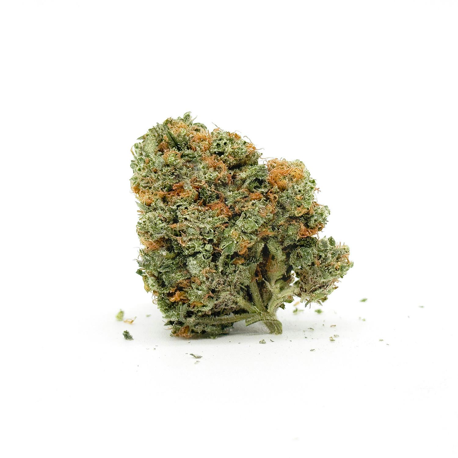 Luxor's Durban at Noa Botanicals Honolulu Dispensary