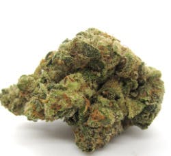 Cap Junky | Highway Horticulture