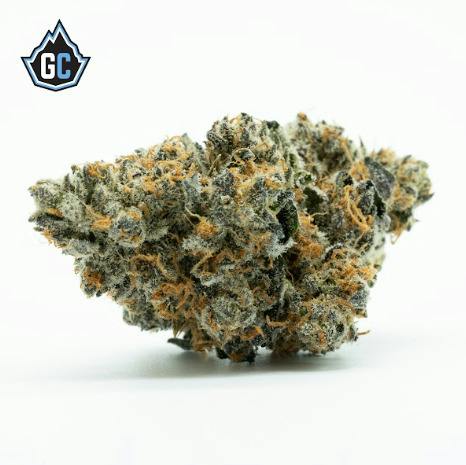 Blueberry Muffin | Glacier cannabis cannabis product