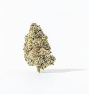 Tagalongz | Glacier Cannabis cannabis product