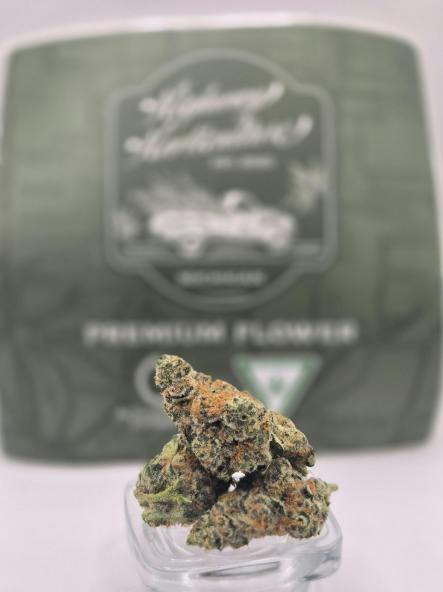 Platinum Runtz | Highway Horticulture