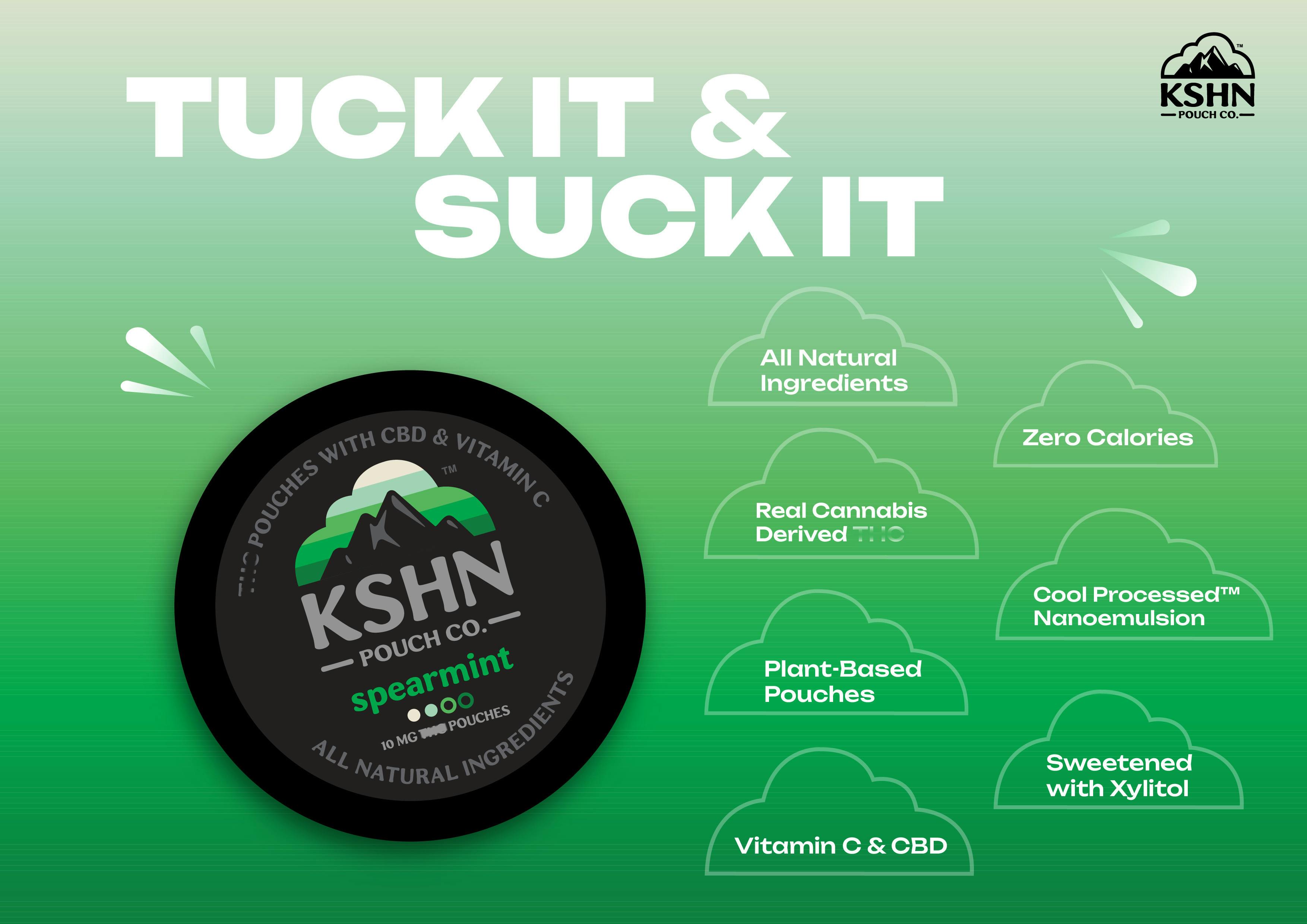 Spearmint | THC Pouches | 10mg x 20pk | KSHN