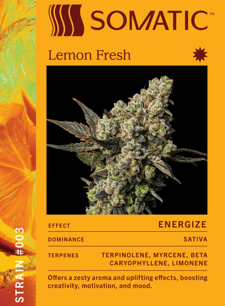 Lemon Fresh