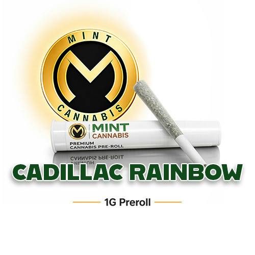 Mint Premium 1.0g Prerolls - Cadillac Rainbow at Mint Cannabis - Gainesville