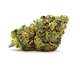 Gelato