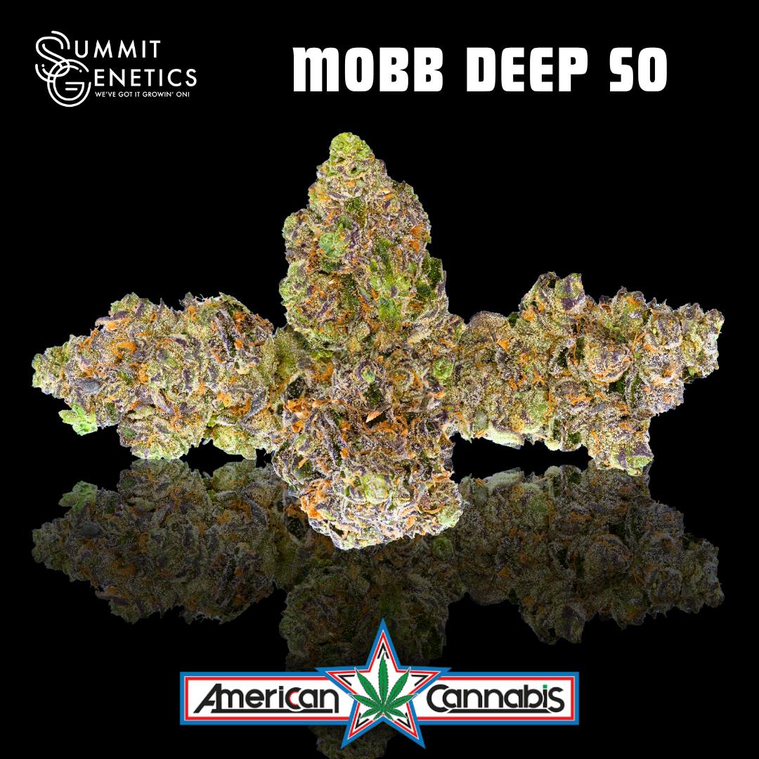 [Flower] Summit Genetics Mobb Deep SO 14g [Indica]