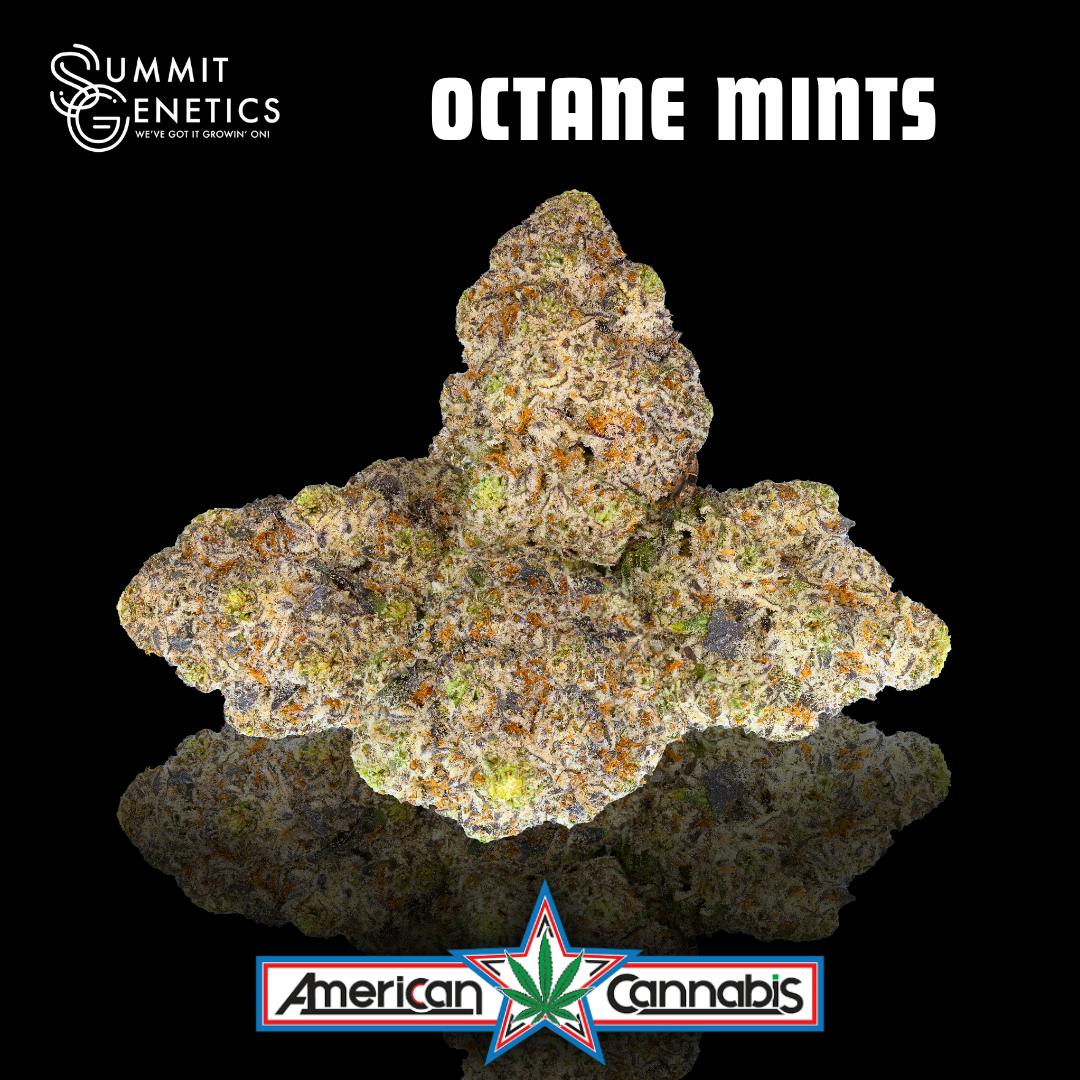 Octane Mints