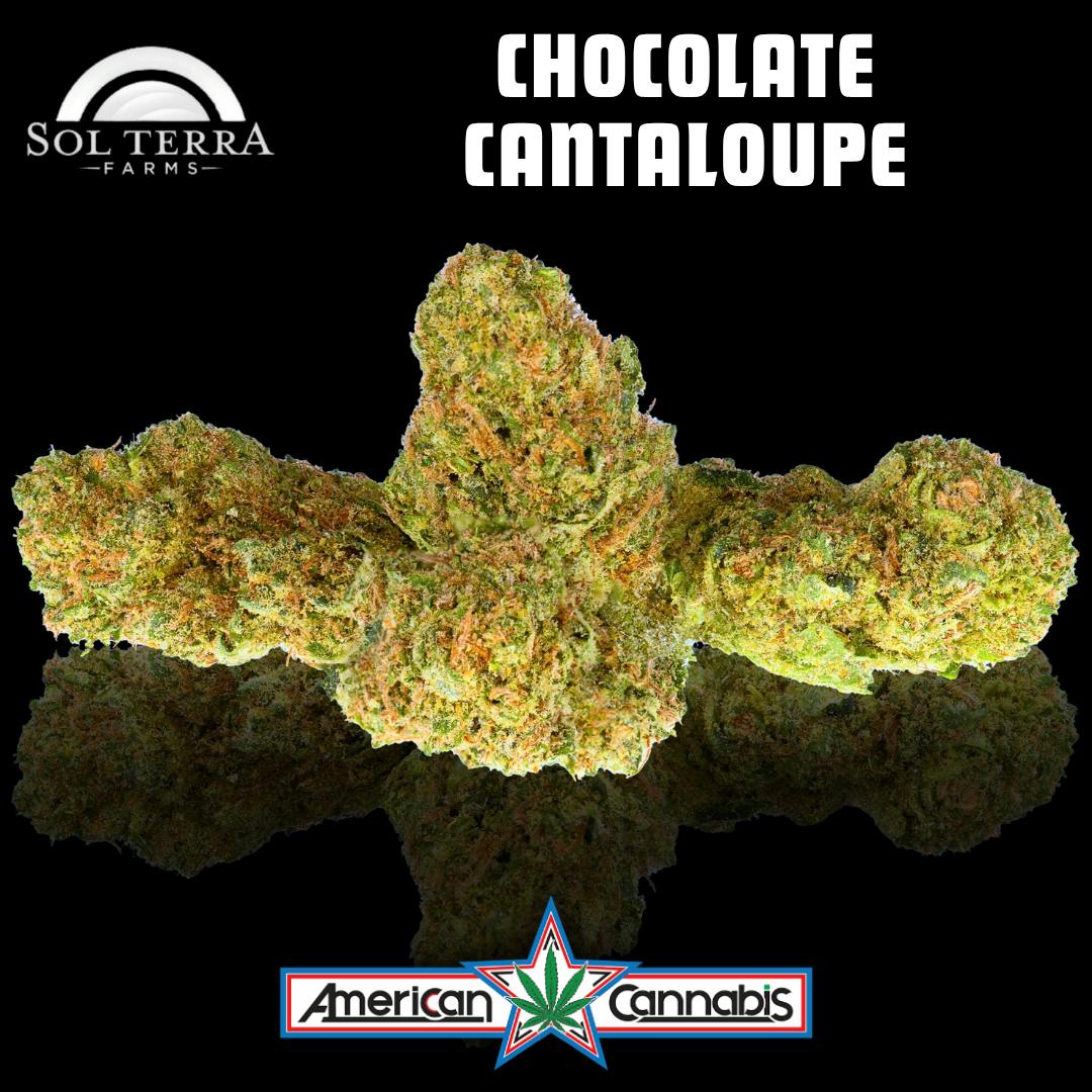 [Flower] Sol Terra Chocolate Cantaloupe 14g [Hybrid]