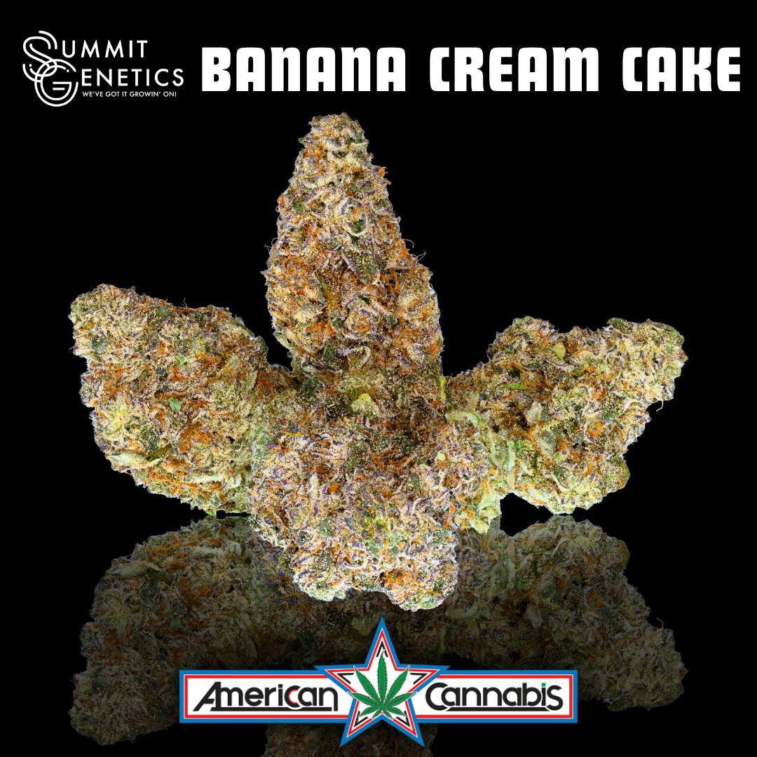Banana Cream Cake