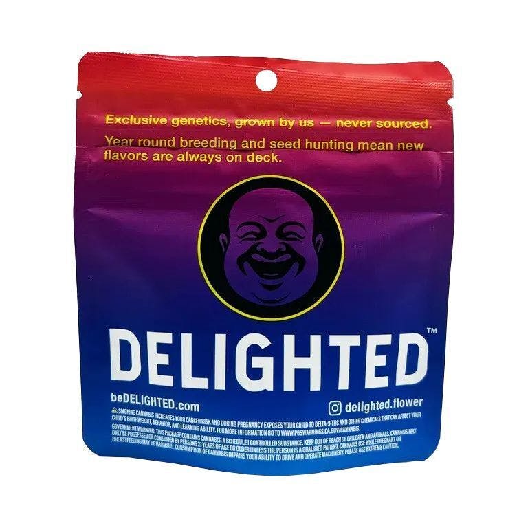 DELIGHTED - PREMIUM — Traffic Stopper