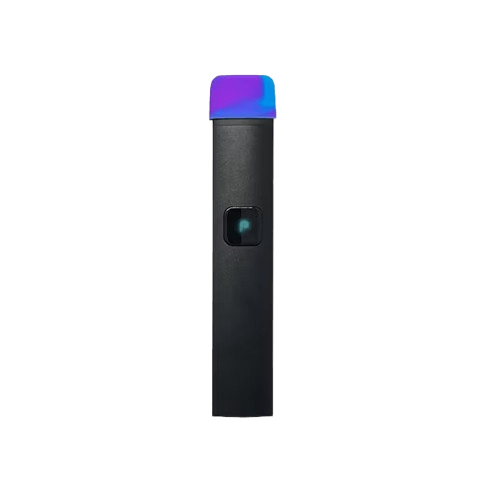 PLUGPLAY - DNA: Northern Lights