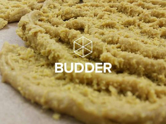 The lab- Budder