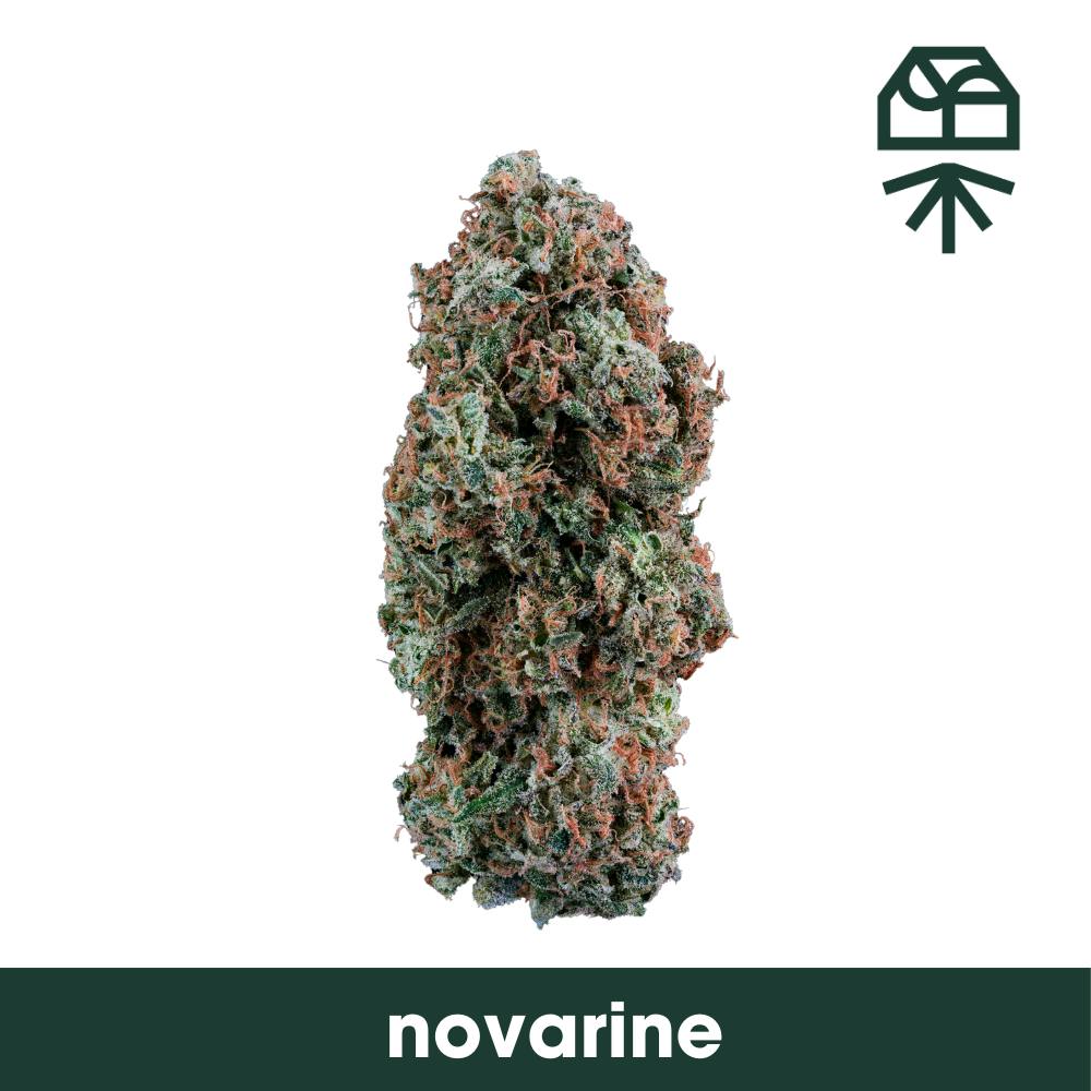 Grassroots Novarine Whole Flower 1g at Curaleaf Dispensary Altoona