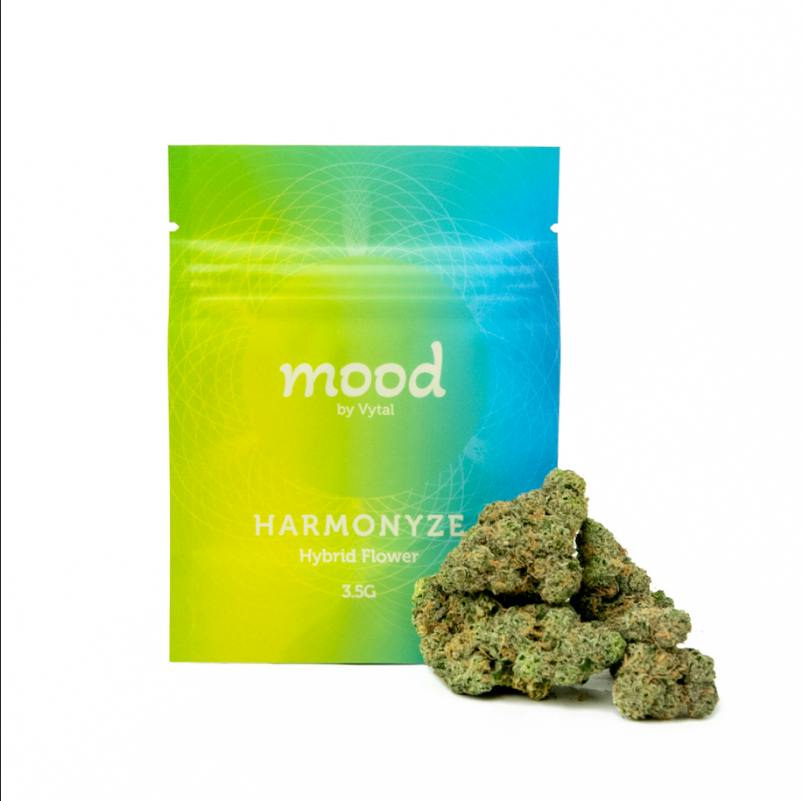 Mood Georgia Mntz Whole Flower 3.5g