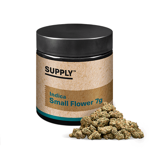 Supply 8" Bagel Small Buds 7g