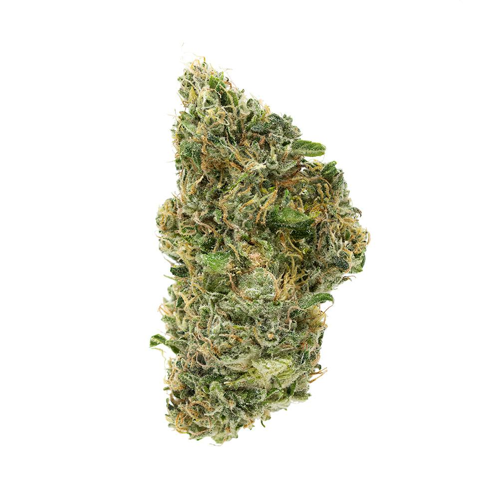 Terrapin Jack's Clone Whole Flower 3.5g