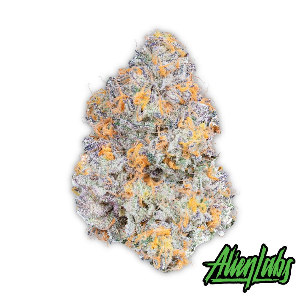 Alien Labs Dark Web Whole Flower 3.5g
