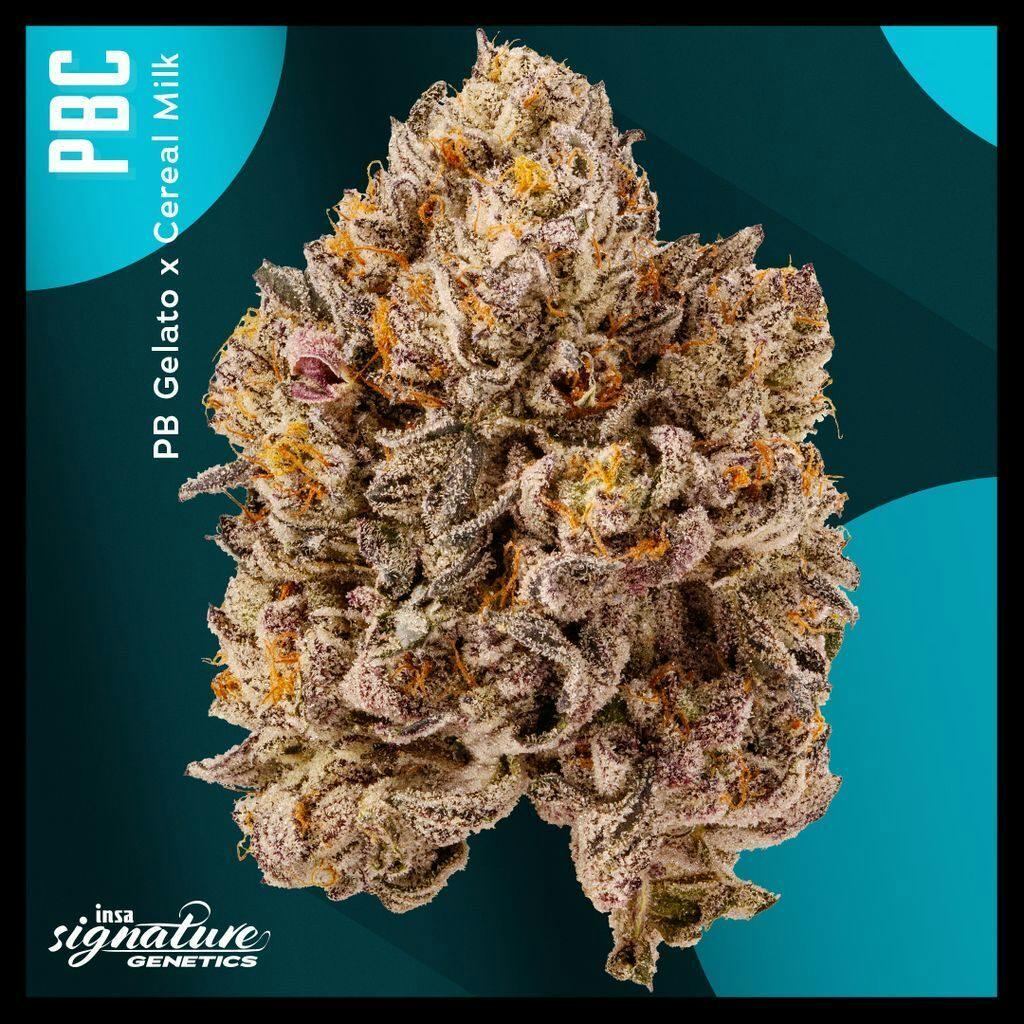 INSA PBC Whole Flower 14g