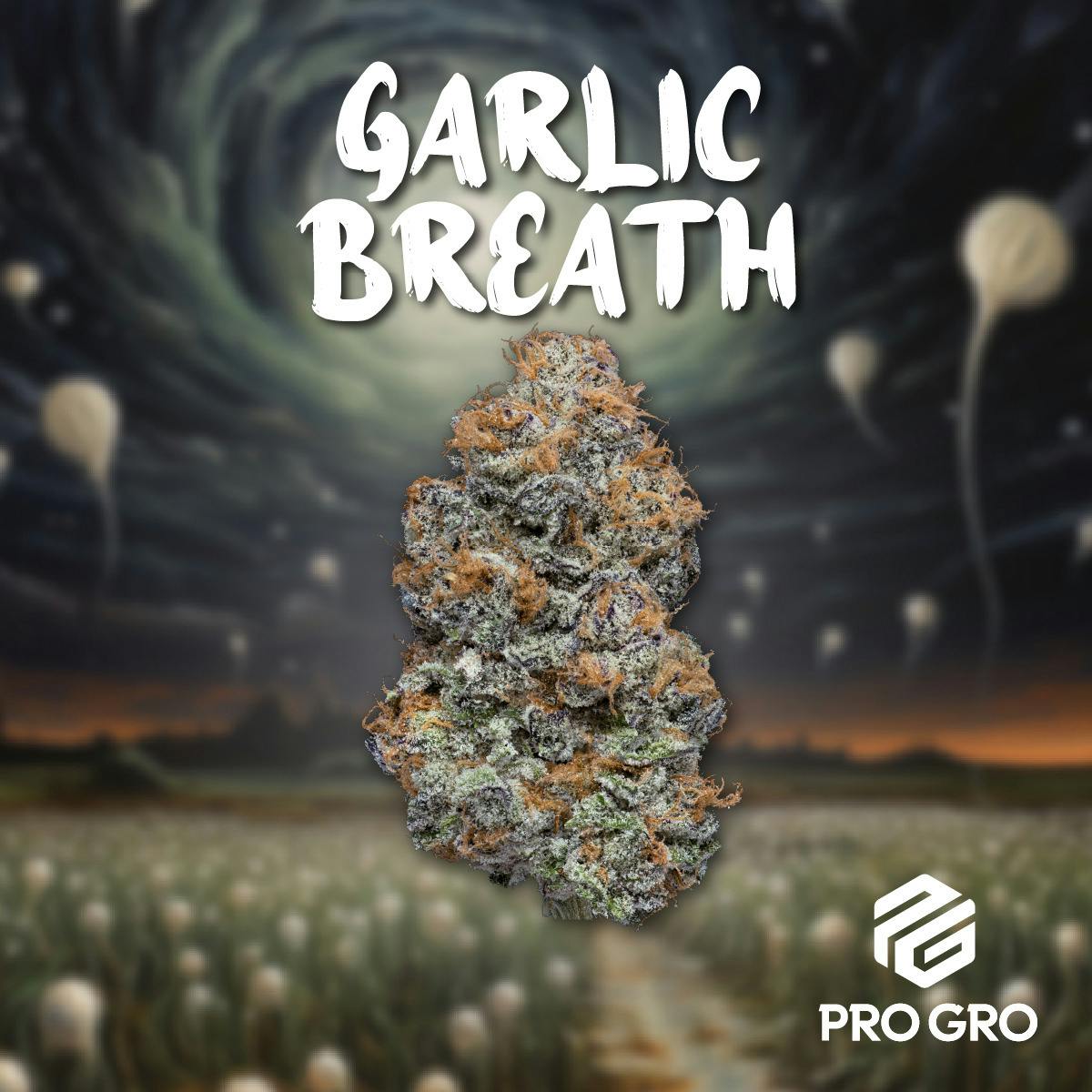 Pro Gro - Garlic Breath cannabis product