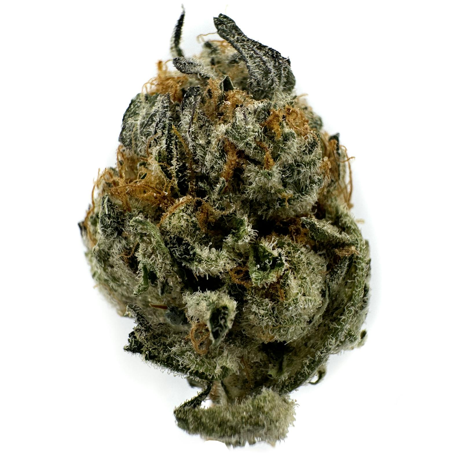 Intrinsic - Glitter Bomb x Sweet Tea "Smalls"