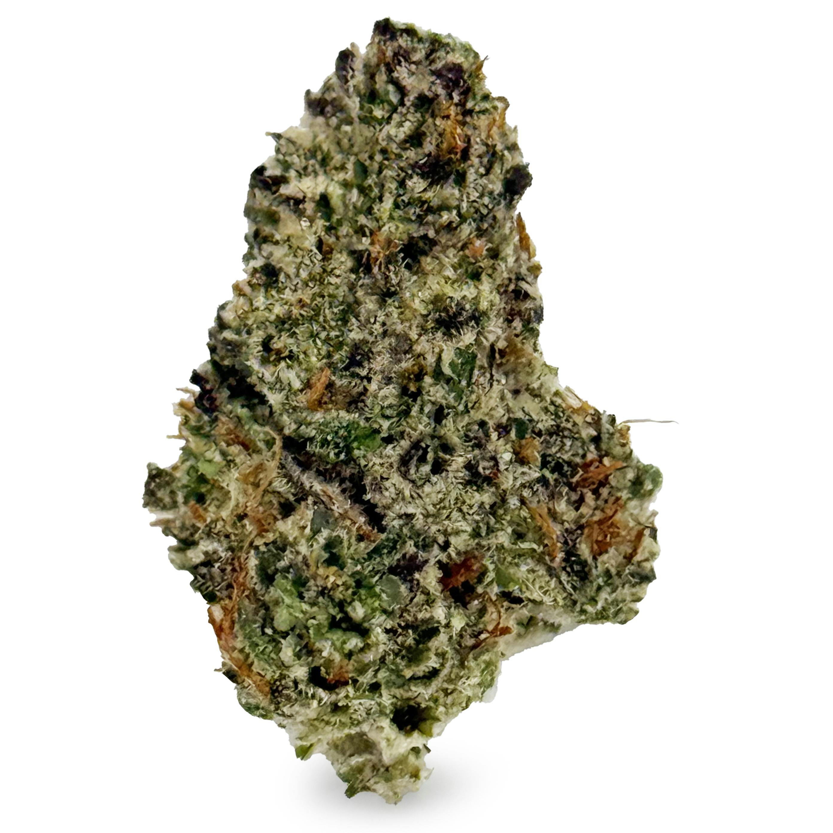2Growit - Purple Starfruit "Smalls"