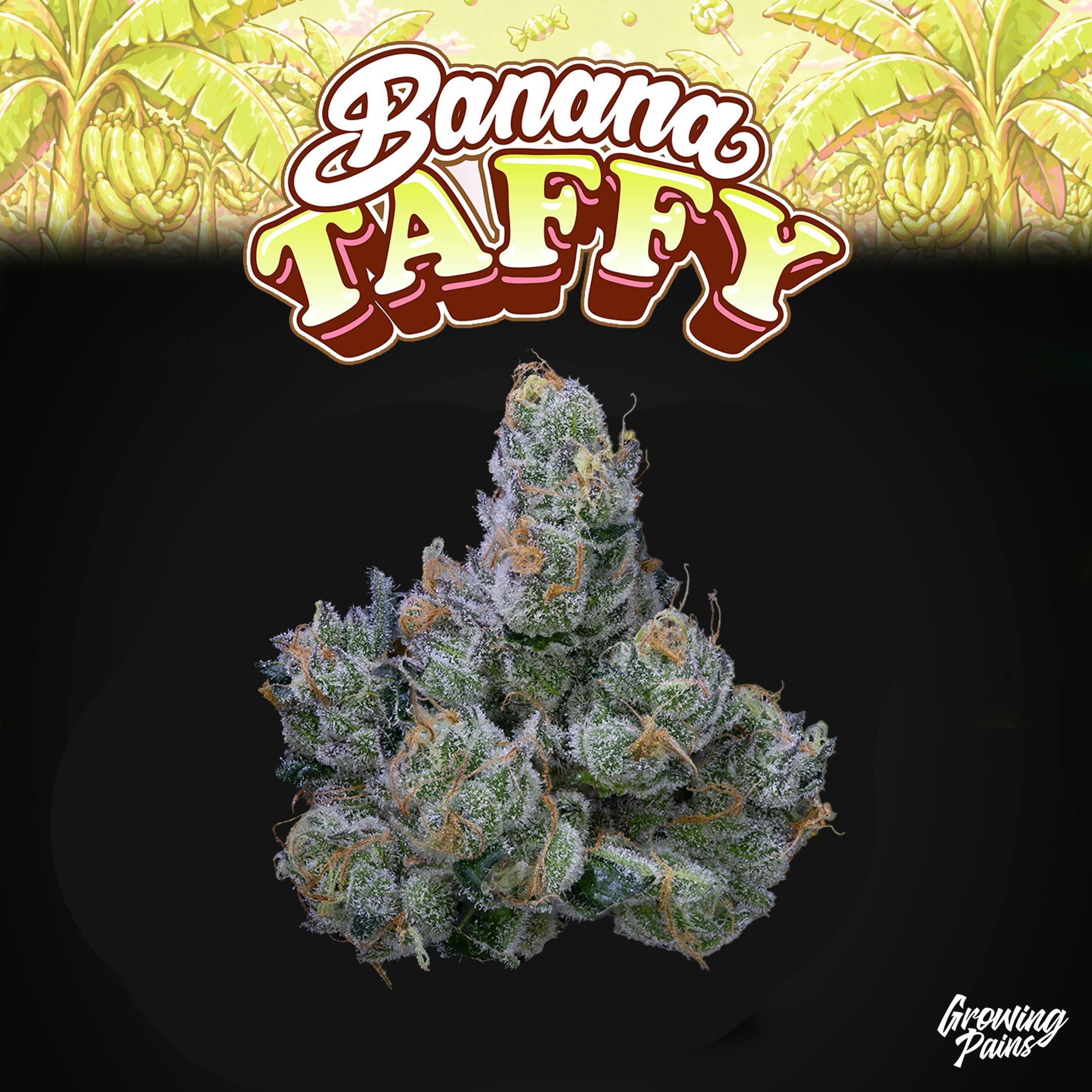 Growing Pains - Banana Taffy