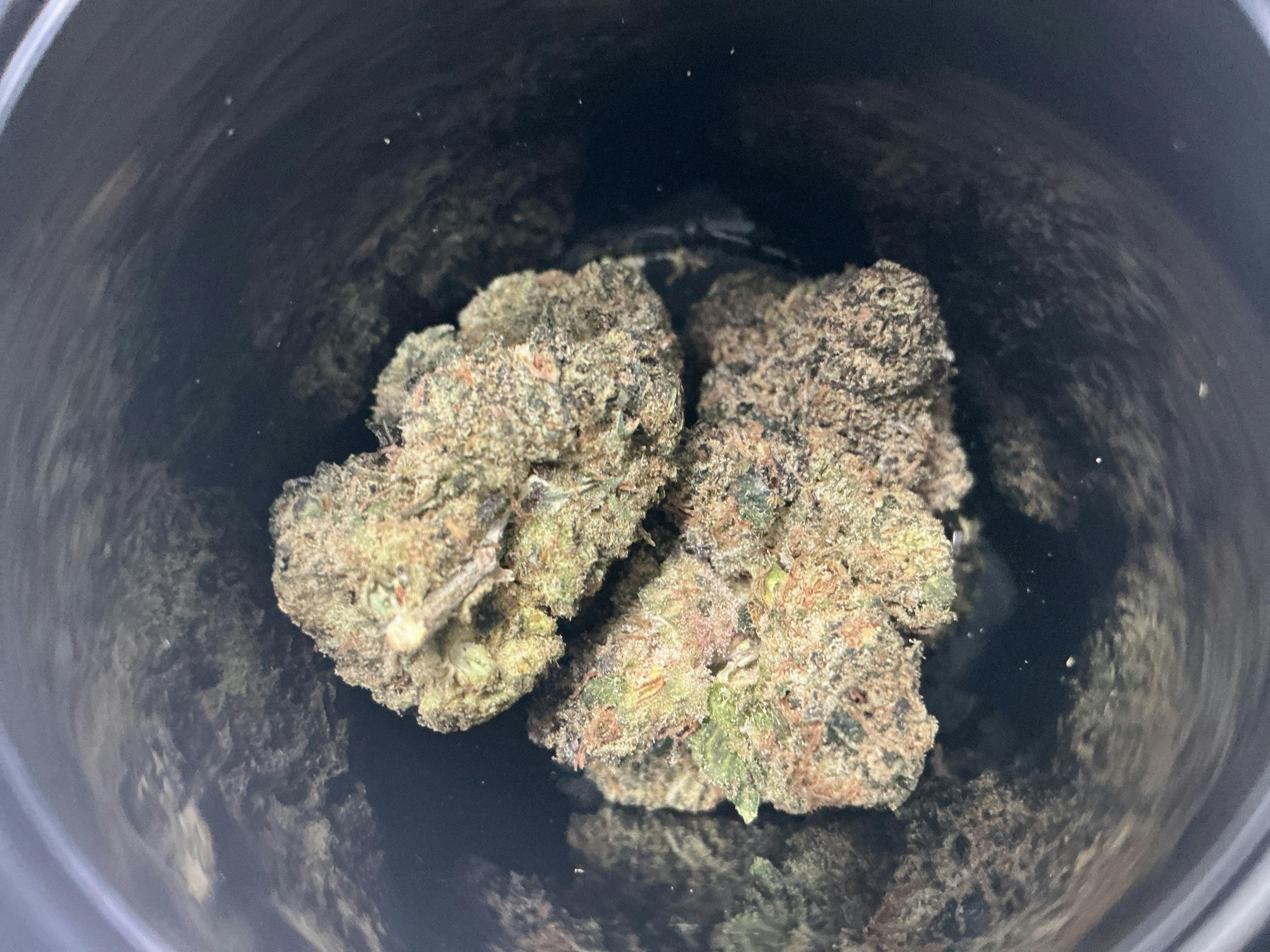MWGF-3.5G Pre Pack-Sherblato