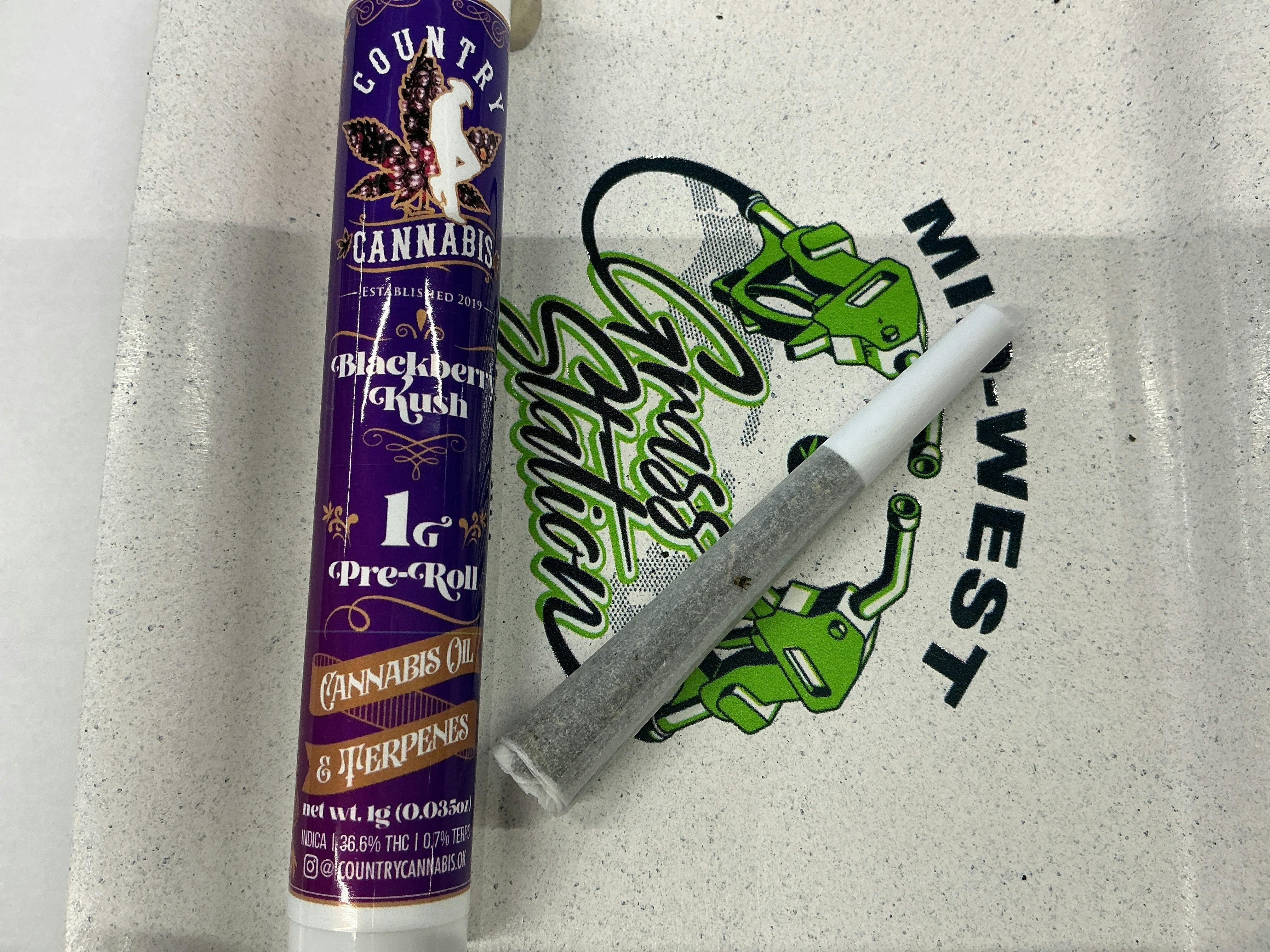 Blackberry Kush-1G Distillate Infused Pre Roll-Indica