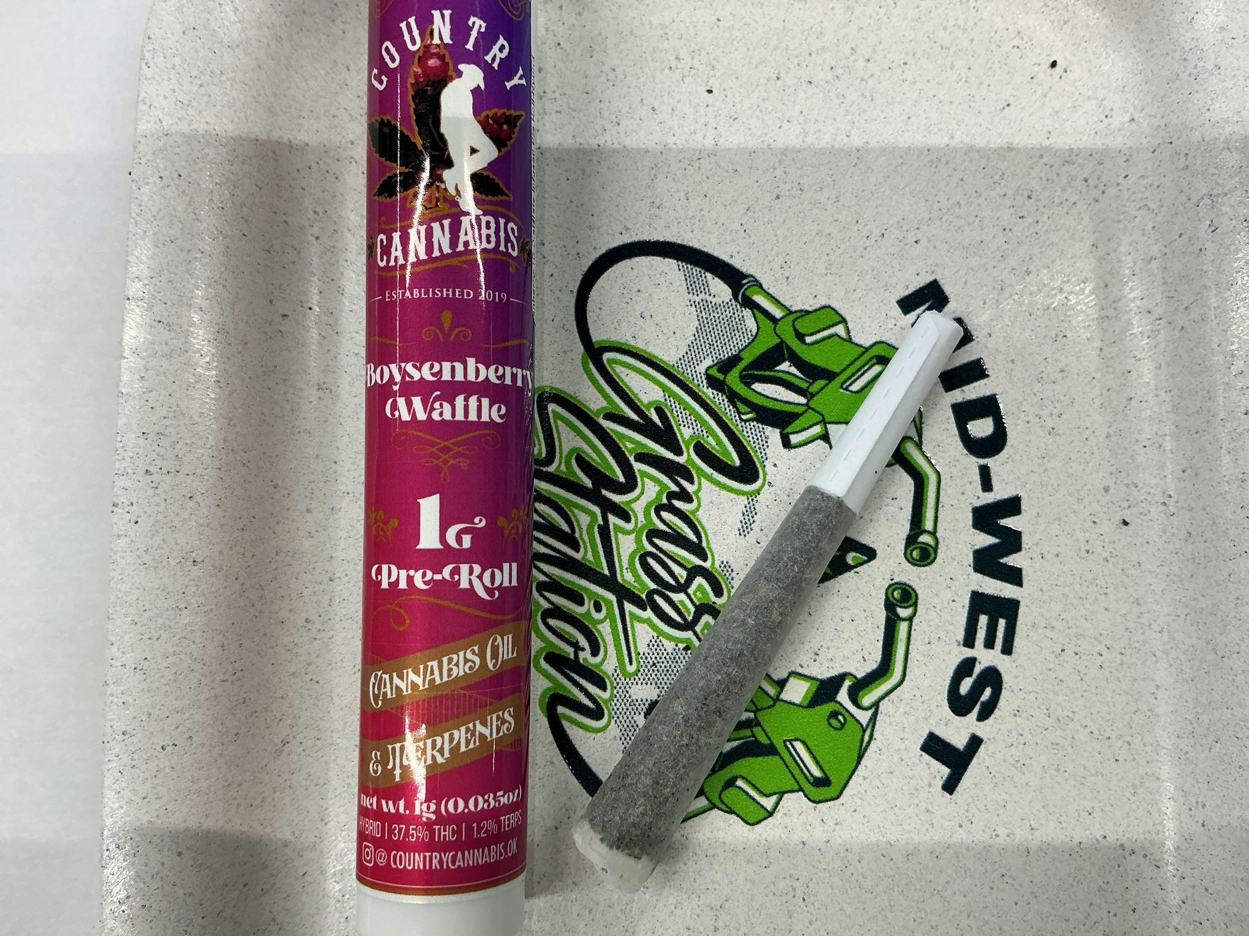 Boysenberry-1G Distillate Infused Pre Roll-Hybrid