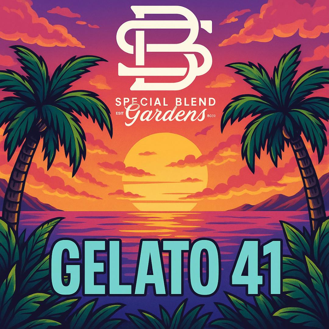 Special Blend - Smalls - Gelato 41