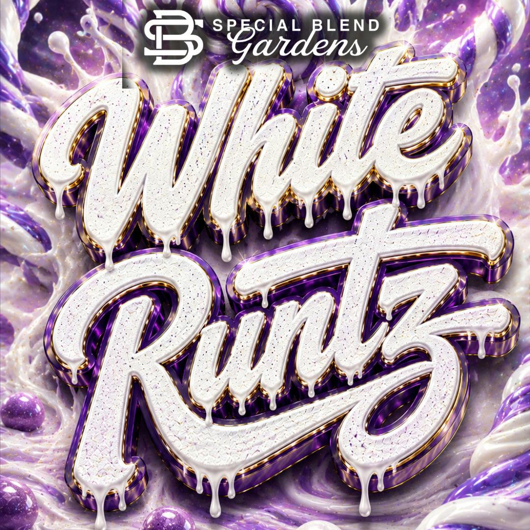Special Blend - Smalls - Currency