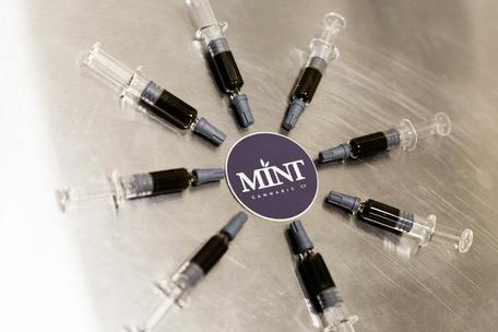 Mint Company RSO Syringe 1g