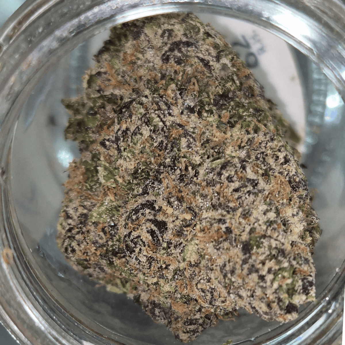 Lemon Cherry Gelato - Hybrid - Cannatopia Tulsa -MED - 3.5g - Packed