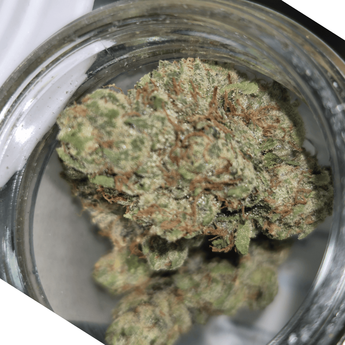OG Kush - Indica-Dom - Cannatopia Tulsa -MED - 3.5g - Packed