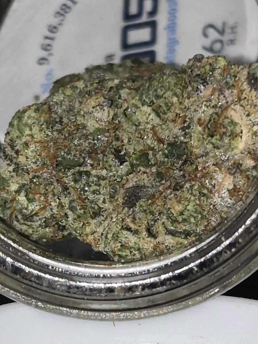 Lickety Spliff - Indica-Dom - Cannatopia Tulsa - MED - 3.5g - Packed