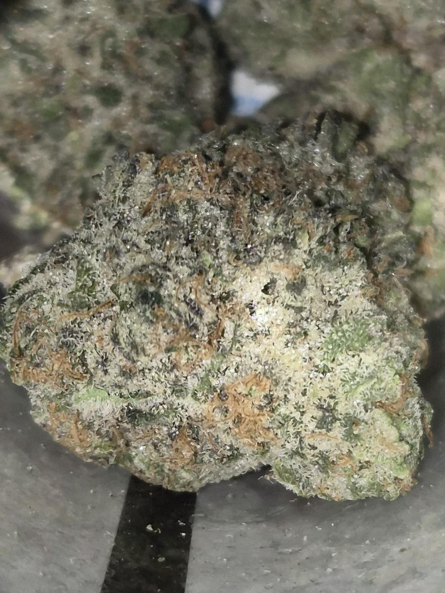 Wareoz - Indica-Dom - Cannatopia Tulsa - MED - 3.5g - Packed