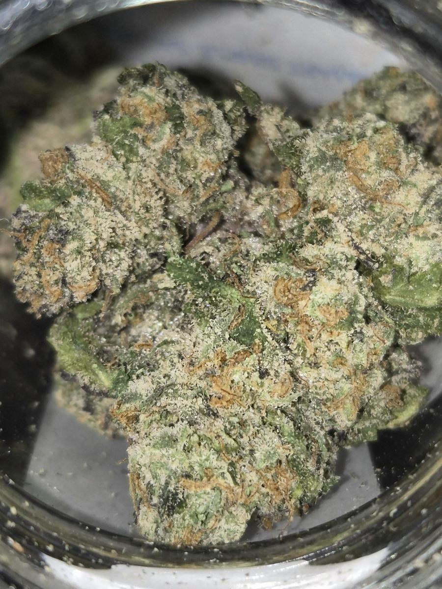 Sherb Cream Pie - Indica-Dom - Cannatopia Tulsa - MED - 3.5g - Packed
