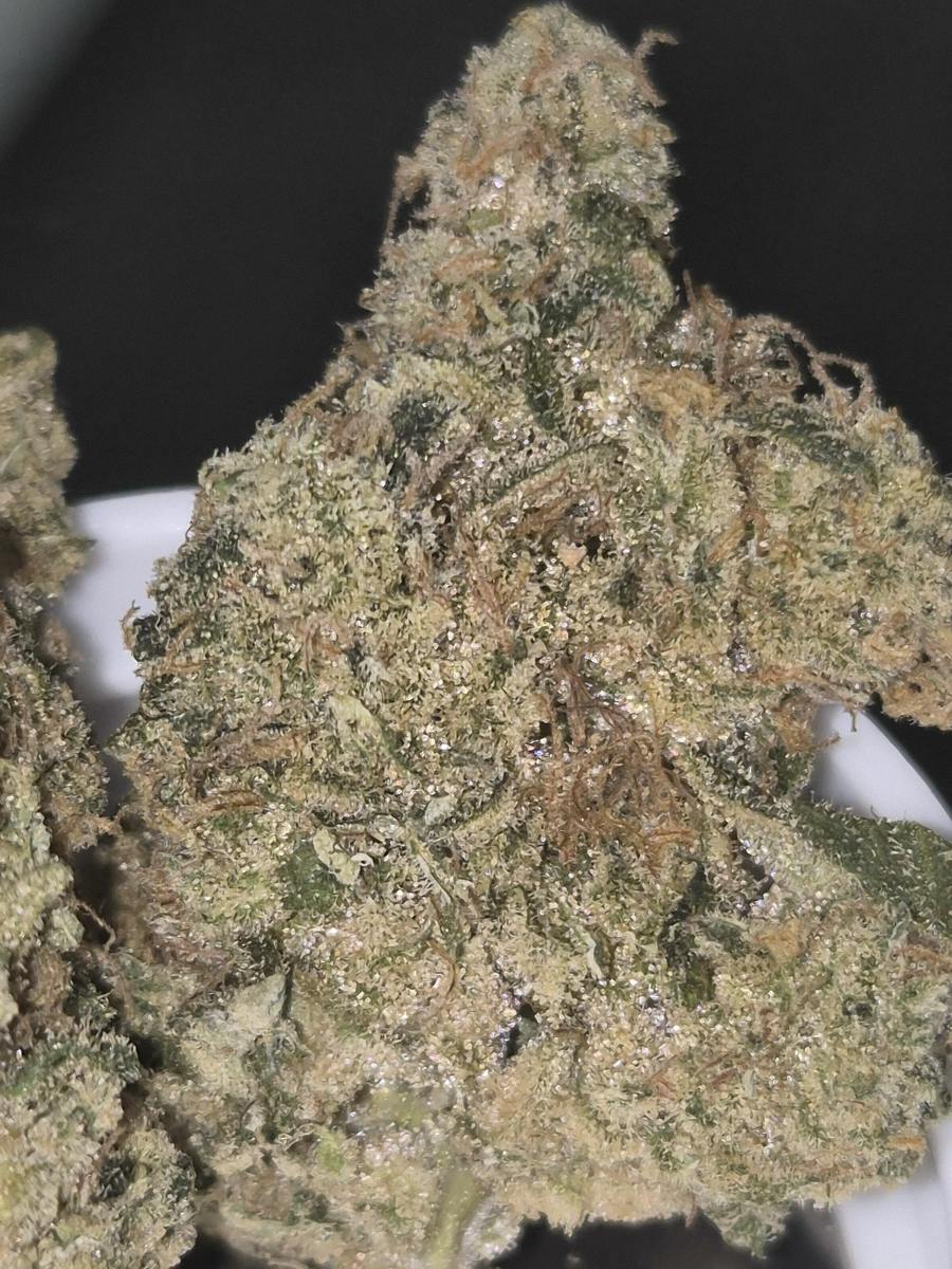 Blue Dream - Sativa-Dom - Cannatopia Tulsa - MED - 3.5g - Packed