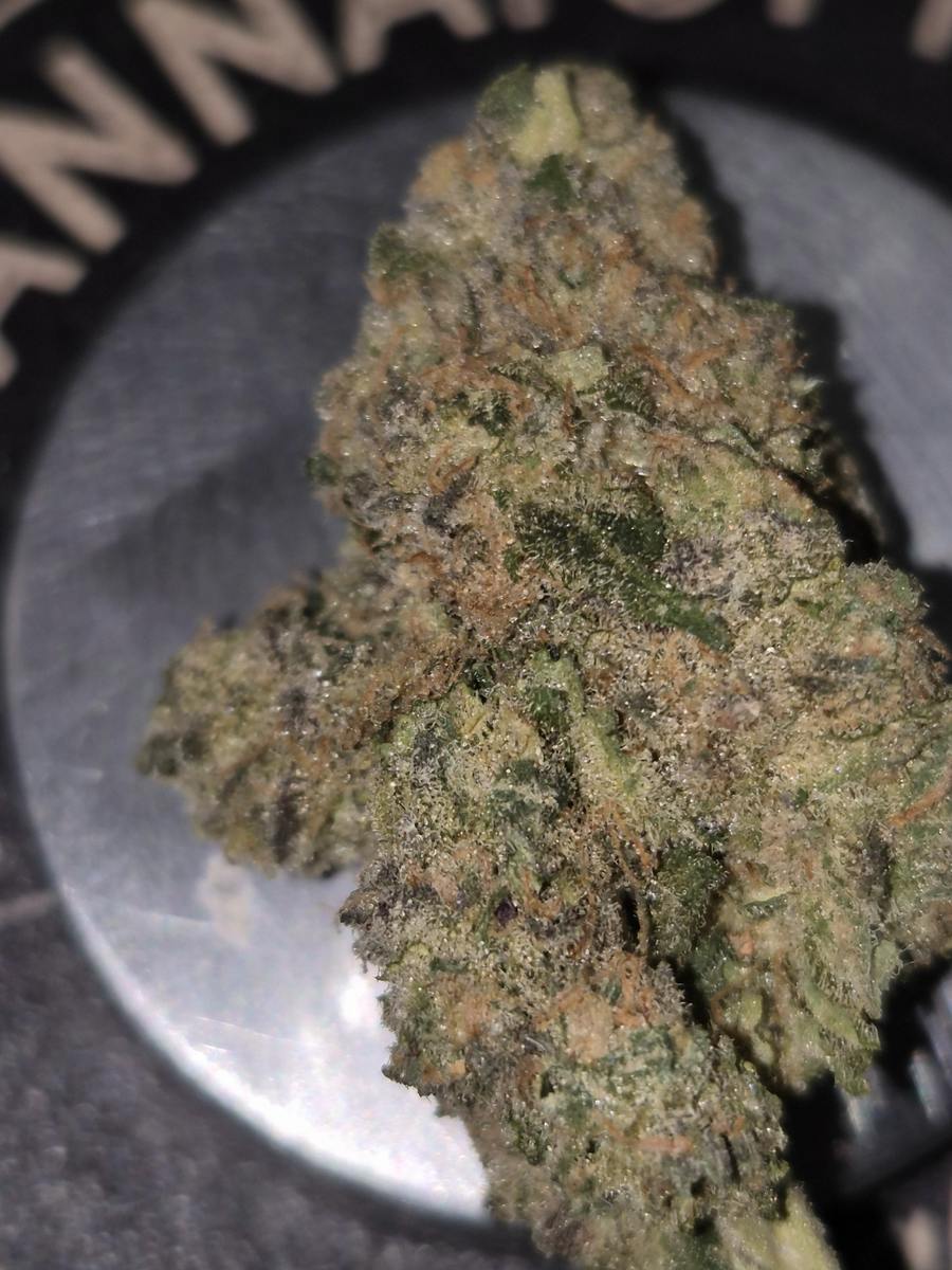 Blackberry Kush x Sour Diesel - Sativa-Dom - Cannatopia Tulsa - MED - 3.5g - Packed
