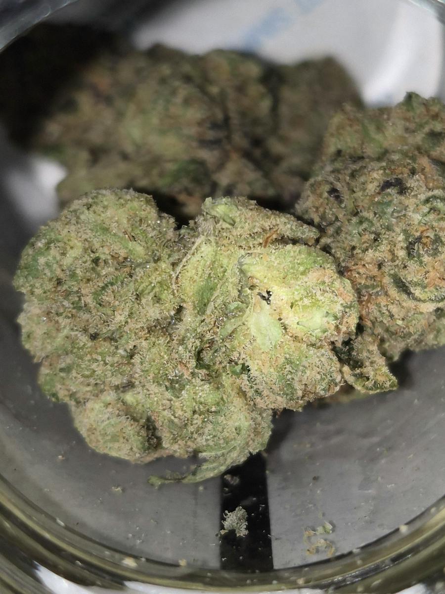 Pie Scream - Indica-Dom - Cannatopia Tulsa - MED - 3.5g - Packed